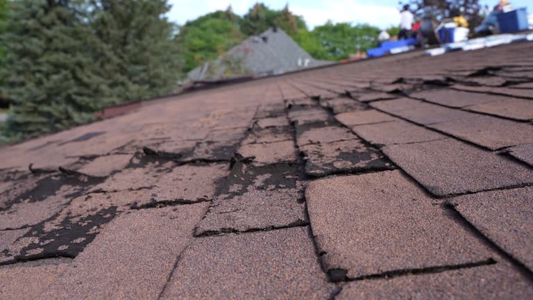 Best Cold Roofs  in Henryetta, OK